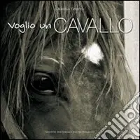 Offerta Speciale Voglio un cavallo