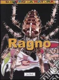 Il ragno Esclusivo