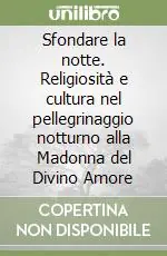 Sfondare la notte. Religiosità e cultura nel pellegrinaggio notturno alla Madonna del Divino Amore Occasione Imperdibile