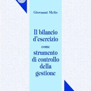 Il bilancio d‘esercizio come strumento di controllo della gestione Promo Stagionale