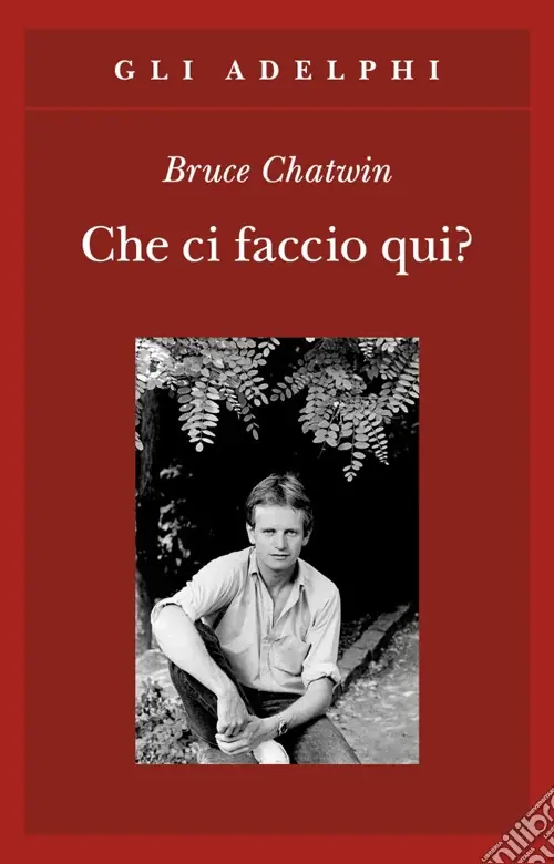 Super Prezzo Che ci faccio qui?