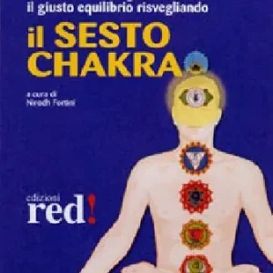 Offerta Il sesto chakra. Audiolibro. CD Audio