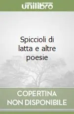Spiccioli di latta e altre poesie Nuova Collezione