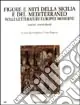 Professionale Figure e miti della Sicilia e del Mediterraneo nelle letterature europee moderne. Nuovi contributi