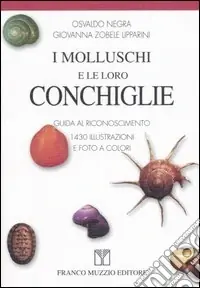 I molluschi e le loro conchiglie. Guida al riconoscimento Offerta Limitata