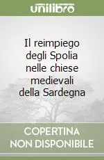 Ordina Subito Il reimpiego degli Spolia nelle chiese medievali della Sardegna