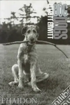 Dog dogs. Ediz. illustrata Affare