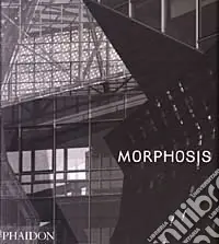 Morphosis. Ediz. illustrata Saldi