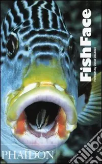 Non Perdere FishFace. Ediz. illustrata