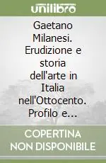 Gaetano Milanesi. Erudizione e storia dell‘arte in Italia nell‘Ottocento. Profilo e carteggio artistico Nuova Collezione