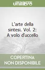 Prezzo Di Fabbrica L‘arte della sintesi. Vol. 2 A volo d‘uccello