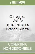 Spedito Oggi Carteggio. Vol. 3 1916-1918. La Grande Guerra