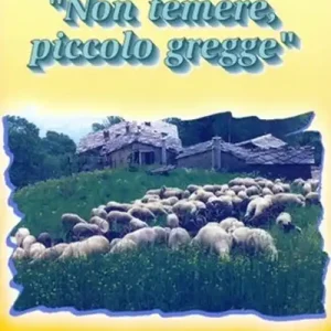 Quantità Limitata Non temere, piccolo gregge
