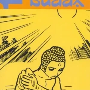 Popolare Budda. Vol. 11