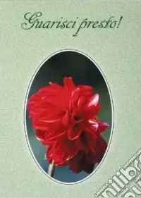 Offerta Del Giorno Guarisci presto!