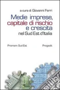 Medie imprese, capitale di rischio e crescita nel sud est d‘Italia Professionale