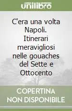 C‘era una volta Napoli. Itinerari meravigliosi nelle gouaches del Sette e Ottocento Compra Oggi Stesso