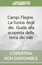 Campi Flegrei. La fucina degli dei. Guida alla scoperta della terra dei miti Quantità Limitata