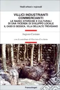 Villici industrianti commercianti. Le radici storiche e culturali di una vicenda di sviluppo locale. Il caso di Bessica, villa dell‘alto trevigiano Professionale