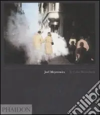Joel Meyerowitz. Ediz. inglese Economico