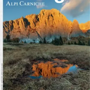 Alpi carniche. Con Carta geografica ripiegata Esclusivo