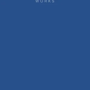 Offerta Paolo Pellizzari. Works. Ediz. italiana e inglese
