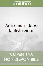 Professionale Amiternum dopo la distruzione