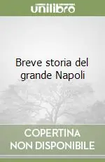 Breve storia del grande Napoli Professionale