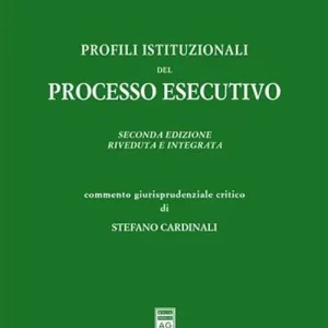 Compra Oggi Stesso Profili istituzionali del processo esecutivo