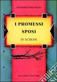 I Promessi sposi in schede. Verifiche, approfondimenti, riepiloghi, diversi strumenti didattici. Per le Scuole superiori Solo Oggi