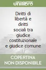 Più Venduto Diritti di libertà e diritti sociali tra giudice costituzionale e giudice comune