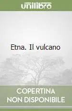 Pagamento Sicuro Etna. Il vulcano