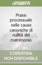 Prassi processuale nelle cause canoniche di nullità del matrimonio Saldi