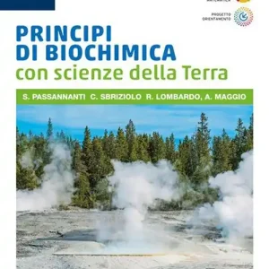 Principi di chimica sostenibile. Per il 5° anno delle Scuole superiori. Con e-book. Con espansione online Prezzo Di Fabbrica
