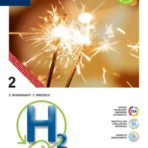 Saldi H2. Per le Scuole superiori. Con e-book. Con espansione online vol. 2