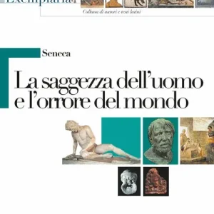 Offerta Seneca. La saggezza dell‘uomo e l‘orrore del mondo. Per i Licei e gli Ist. magistrali
