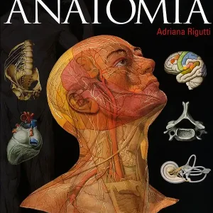 Atlante di Anatomia Compra Adesso