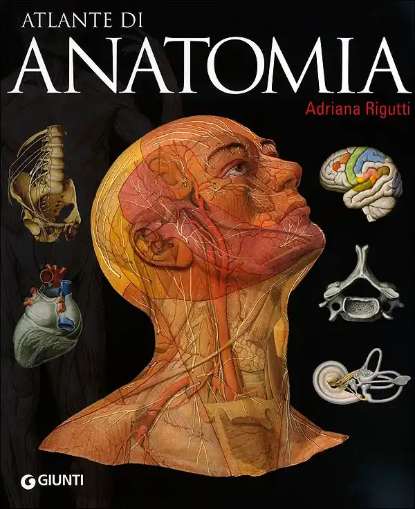 Atlante di Anatomia Compra Adesso