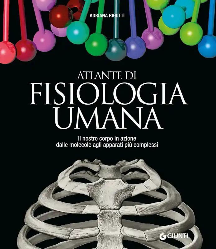 Atlante di Fisiologia umana Il nostro corpo in azione dalle molecole agli apparati più complessi Spedizione Espresso