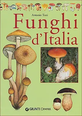 Economico Funghi d‘Italia