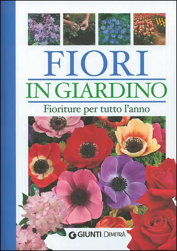 Promozione Esclusiva Fiori in Giardino Fioriture per tutto l‘anno