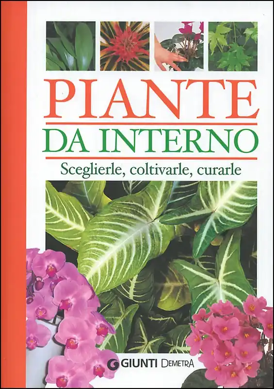 Subito Disponibile Piante da interno Sceglierle, coltivarle, curarle