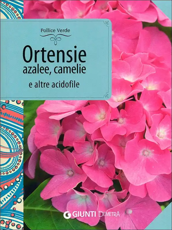 Offerta Speciale Ortensie, azalee, camelie e altre acidofile