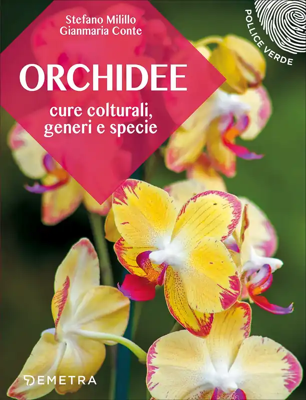 Sconto Orchidee Cure colturali, generi e specie