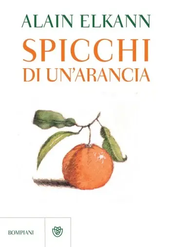 Super Prezzo Spicchi di un‘arancia