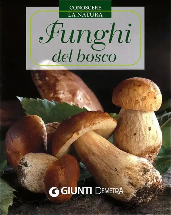 Funghi del bosco A Buon Prezzo