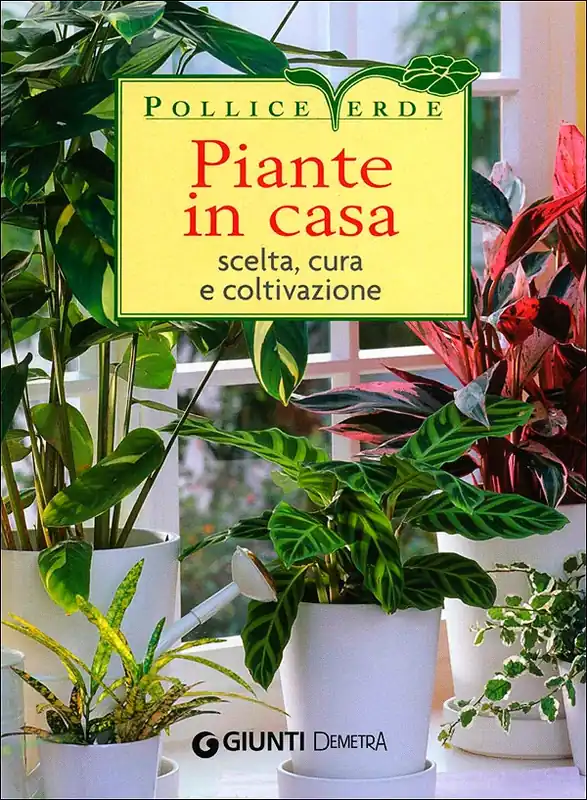 Saldi Piante in casa Scelta, cura e coltivazione