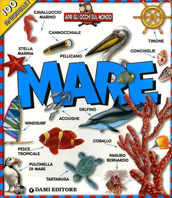 Mare 100 finestrelle! Compra Online