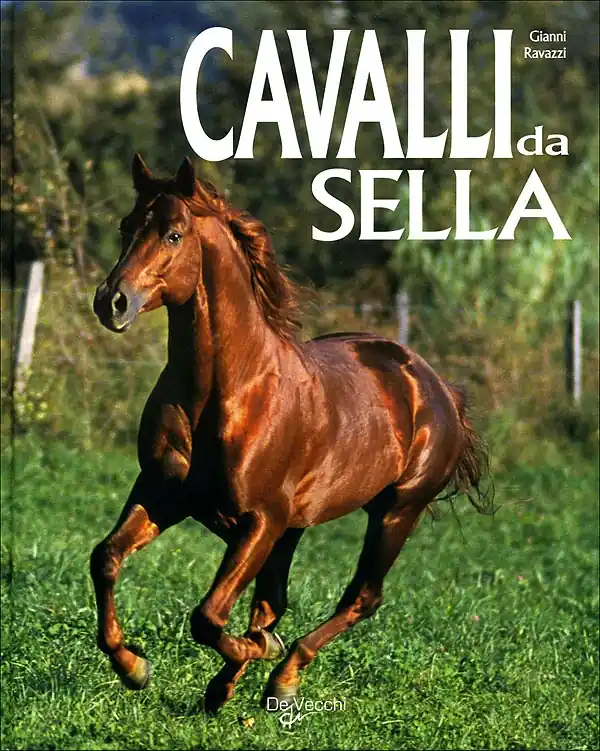 Cavalli da sella Offerta