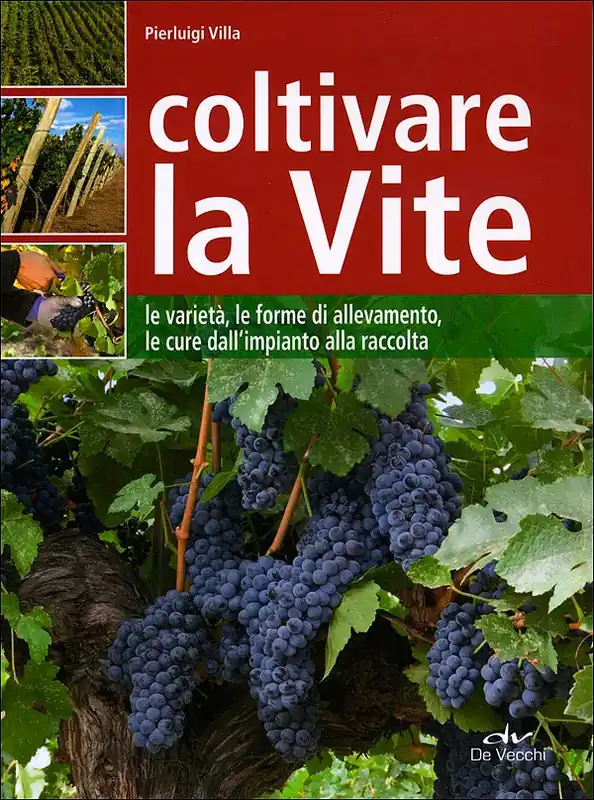 Coltivare la Vite Le varietà, le forme di allevamento, le cure dall‘impianto alla raccolta Acquista Ora